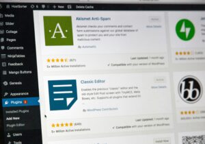 Best Practices for Using WordPress Plugins